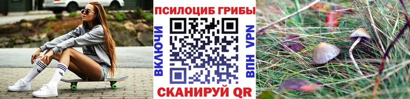 Галлюциногенные грибы MAGIC MUSHROOMS  Лермонтов 