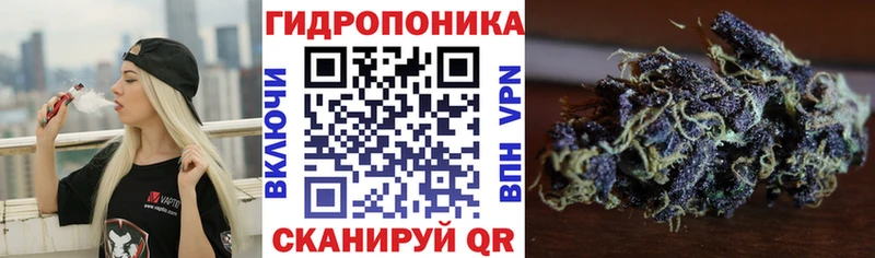 как найти закладки  Лермонтов  МАРИХУАНА LSD WEED 